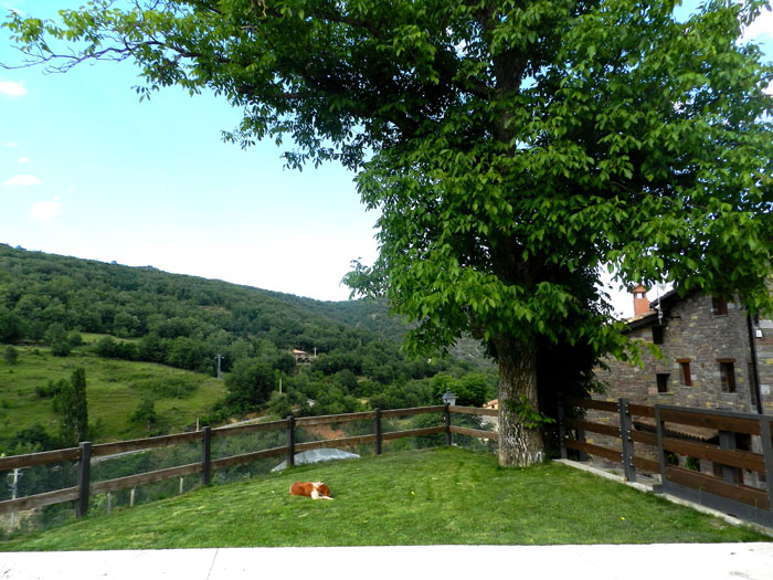 Apartamentos Rurales El Tossalet